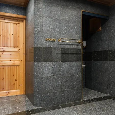 Alpine Grand Ski-in Ski-out By Aavalevi Apartment *